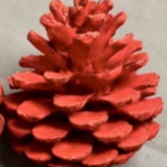 red_pine